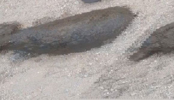 Kiásták a csatabárdot: világháborús robbanófejet találtak a váradi Rulikowski temetőben