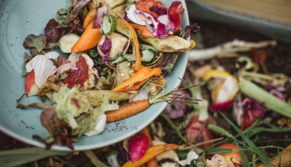 Mi fán terem a komposzt-törvény, amely januártól mindannyiunkra érvényes?