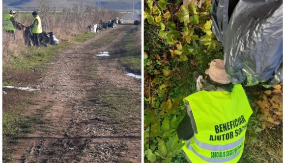 Közmunkát végezni a segélyért? Sokan inkább nem kérnek belőle