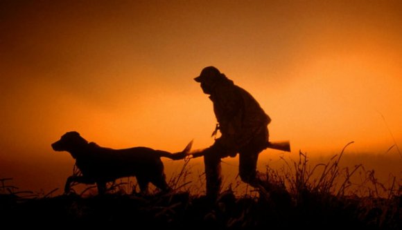 A vadak helyett az egyik vadászt lőtték le egy erdélyi vadászaton