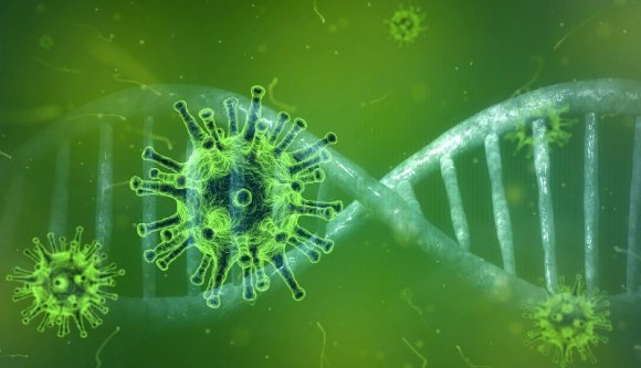 Folytatódik a járvány-hullámvasút: most éppen 2644 új esetet vettek nyilvántartásba