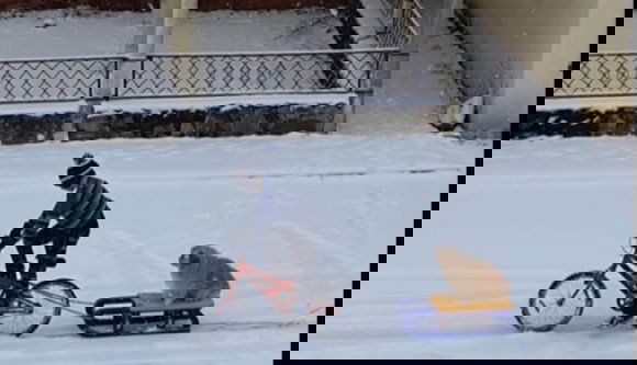 BRÉKING: egy kisfiú bicikli után kötött szánkón húzott egy kiskutyát (VIDEÓval)