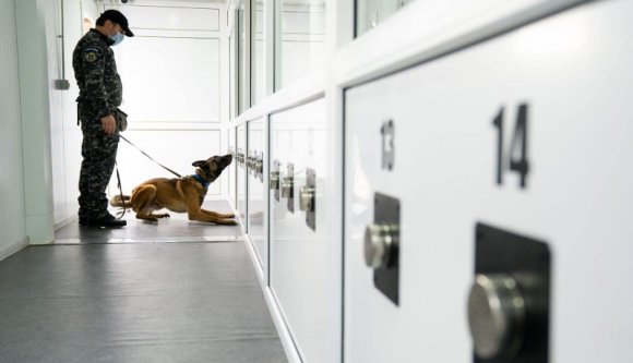 Mindenkit meglepett, milyen ügyesen kiszimatolják a koronavírust a kutyák (VIDEÓval)