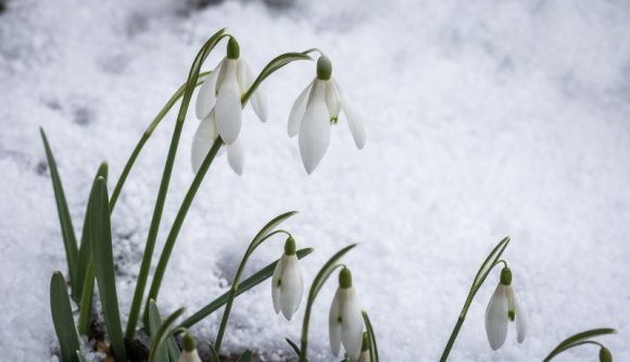 Remélhetőleg a tavasz előtt utoljára mutatja meg magát a tél