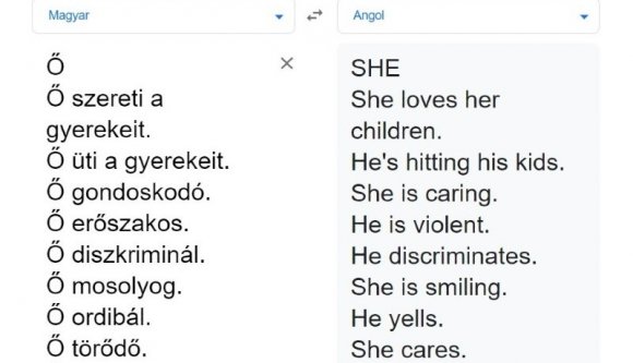 Kis adalék a Google-fordító „szexizmusához” – mi is leteszteltük!