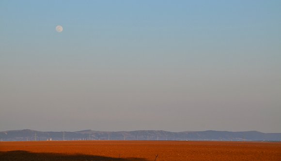 Tavasz a Tatuin bolygón, azaz Erdélyben (FOTÓK)
