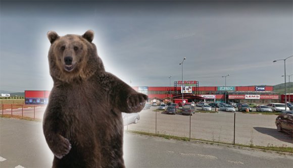 Mikor a medve bevásárolni ment (VIDEÓ)