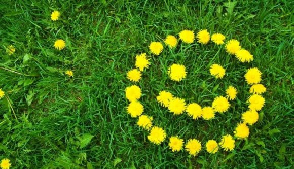 Áprilisban érkezik az igazi tavasz, hátha nem csak bentről élvezhetjük majd...