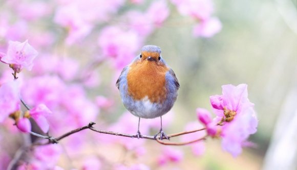 Itt a tavasz, dagadnak a hőmérők higanyszálai