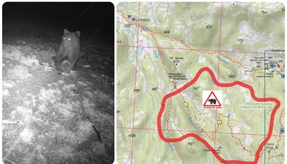 Már Szatmár megyében is medveveszélyre figyelmeztetnek a hegyimentősök