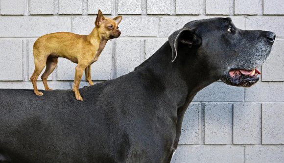 Elbuktad a választásokat, de jó pártkatona vagy? Nesze egy zsíros állás a parlamenti adminisztrációban!