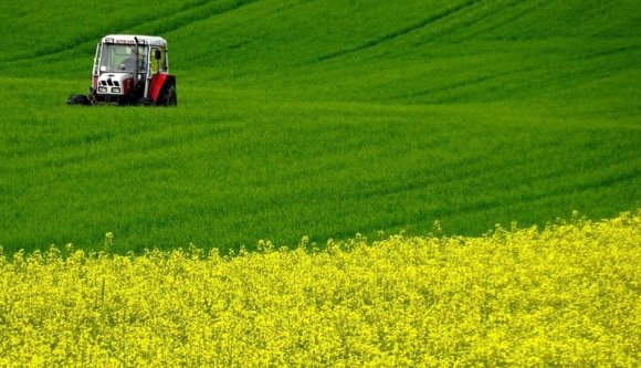 Repceföldön alvó migránsokat gázolt el egy traktor Temes megyében