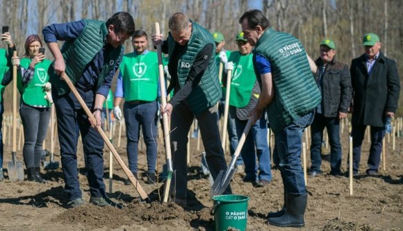 Országnyi erdő, országnyi hazugság: csak papíron létező fákkal nehéz lesz gyarapítani Románia erdőtakaróját