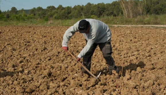 A román termőföldek felét még mindig úgy művelik, mint a kőkorszakban