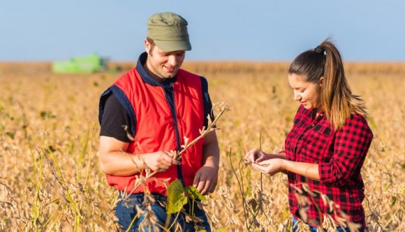 Két közalkalmazott új műfajt teremtett a kenőpénzek világában: az első „spága” programját
