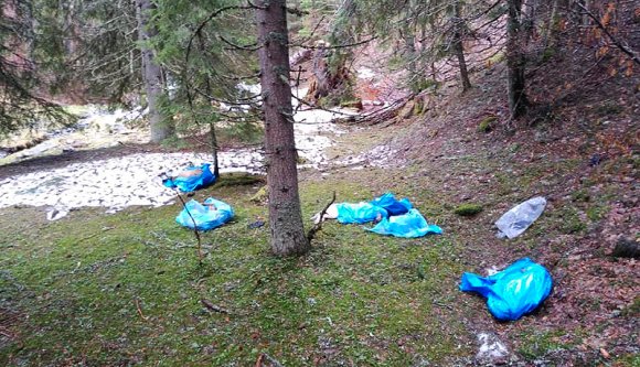 Kutyamészárlás zajlott a Retyezát-hegységben