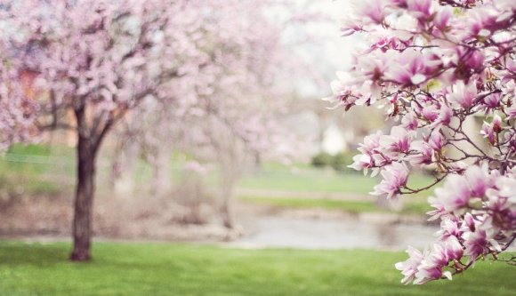 Időzavar: a szokatlan hideg után szokatlanul meleg lesz a következő két hétben a meteorológusok szerint