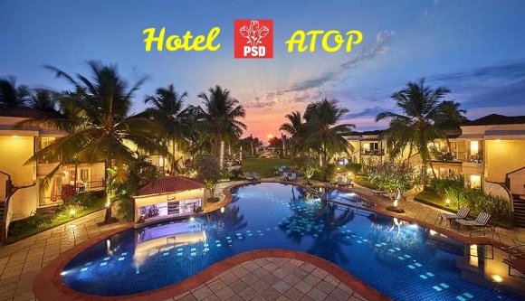 Léhűtő pártkatona: Megérdemlem az állást, sok ismerősöm van a Facebook-on!