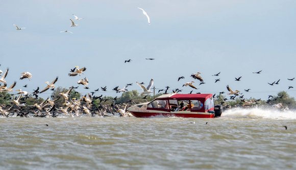 Románia szándékosan teszi tönkre a Duna-deltát, vagy mi van?