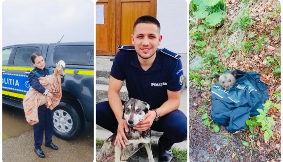 A cukiskodás sem elég már a hetente nevetség tárgyává vált román rendőrök tekintélyének visszaállítására