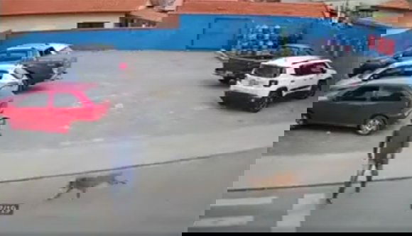 Át akart menni a zebrán, elütötte egy… kutya (VIDEÓVAL)