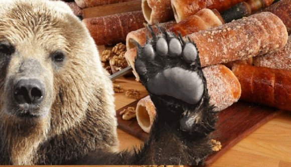 Tusványos helyett Tusmancsos: panzióba, boltba törtek be, városházát látogattak a medvék