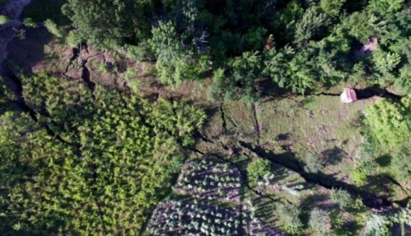 És mégis mozog a föld: néhány óra alatt tüntetett el egy fél erdőt a csúszásnak indult domboldal (VIDEÓval)