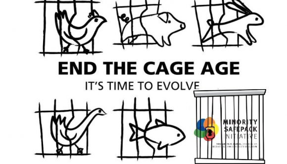 Az Európai Bizottságot jobban érdeklik az állatok jogai, mint a nemzeti kisebbségeké