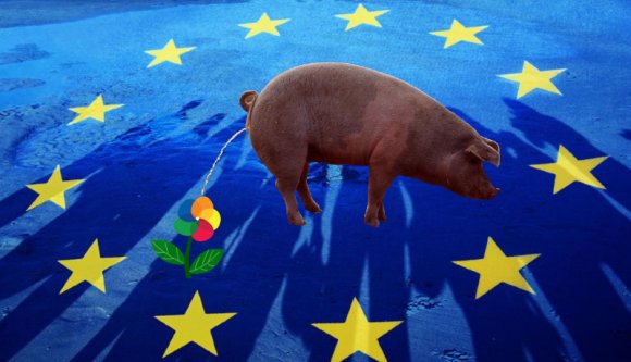 Állatok ketrecben? Európa: Nem oké! Nemzeti kisebbségek jogai? Európa: Milyen szép az ég!