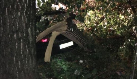 Egy nagyvárosban megérkezett az sms-figyelmeztetés, hogy nagy vihar lesz. Apró baki, hogy csak a vihar után