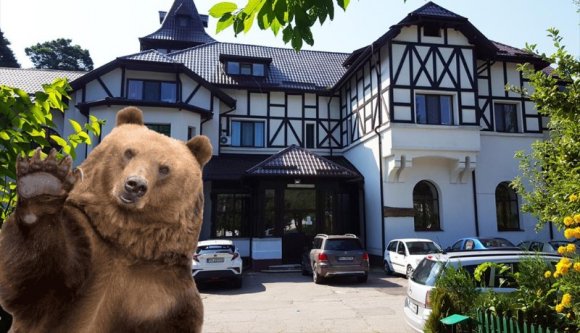 És az megvan, amikor a medve benézett a pszichiátriára?