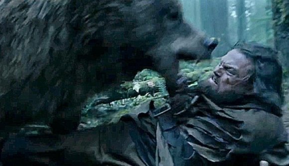 Hoppá: a román állam elvesztette az első pert egy medvetámadást elszenvedővel szemben