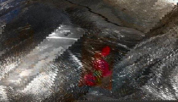 Két és fél kiló vadkendert találtak egy pár bőröndjében a váltás alsónemű helyett