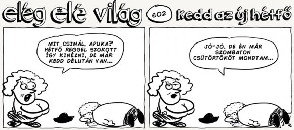 Elég elé világ – 602.