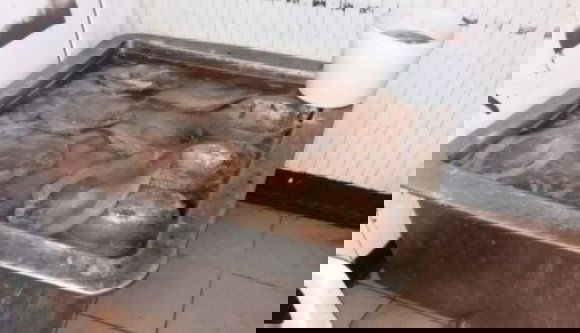 Gyomorforgató utat tett meg Európa legszennyezettebb folyóitól a román tányérokig több tonna toxikus hal