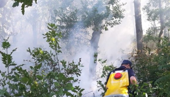 Nemcsak a görögöknél, de már nálunk is több helyen lángol a növényzet (VIDEÓval)
