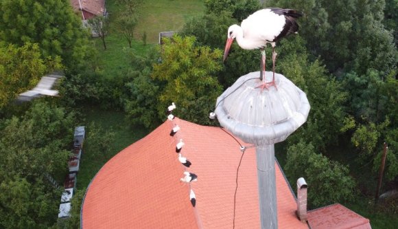 BRÉKING! A lengyelek megszállták Magyarfenest!