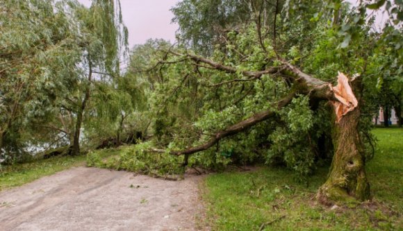 Egy ötéves kislány életét követelte a Maros megyei vihar