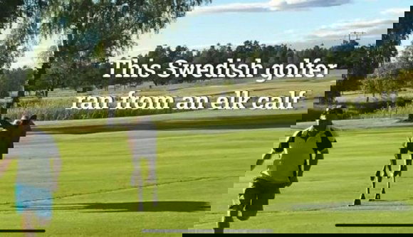 Mondanánk, hogy a svéd nagykövetség hülyét csinált Iohannisból, de igazából ő csinált saját magából hülyét