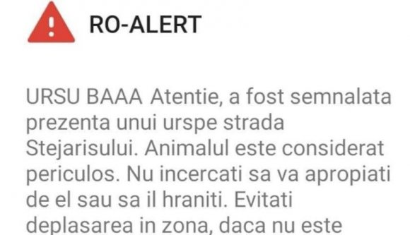 HÉÉÉ, MEDVE! – tudatta választékosan a brassói polgárokkal a katasztrófavédelem