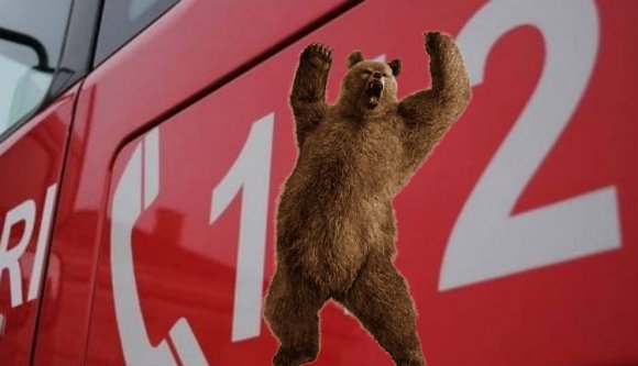 Fogalmunk sincs, hány medve él az országban, csak azt tudjuk, soha nem hívták ennyien az 112-őt miattuk