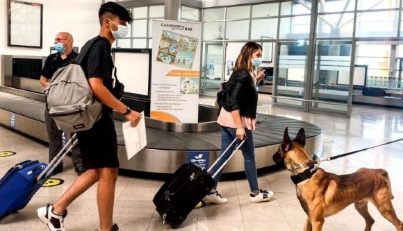 Szimatoló, nedves kutyaorrok fogadják hétfőtől azokat, akik repülővel érkeznek Kolozsvárra