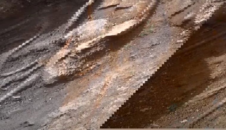 Nemzetközi szenzációnak számító, több ezer éves sírokat találtak Kolozs megyében (VIDEÓval)