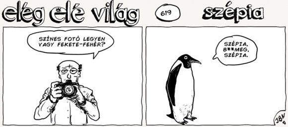 Elég elé világ – 619.