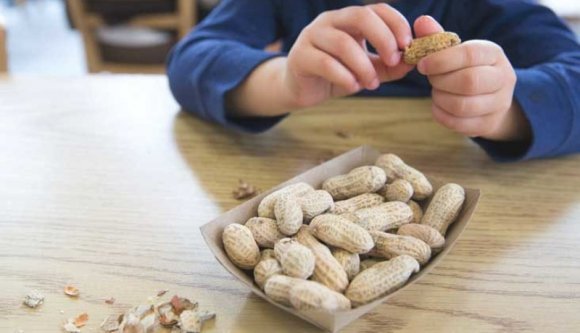 Egy minisztériumi fiókban porosodik a törvény, mely milliók életét könnyítené meg