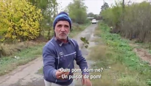 Ez történik, ha egyenesen a földútra öntik az aszfaltot: fű sarjadzik, fa nő az út közepén