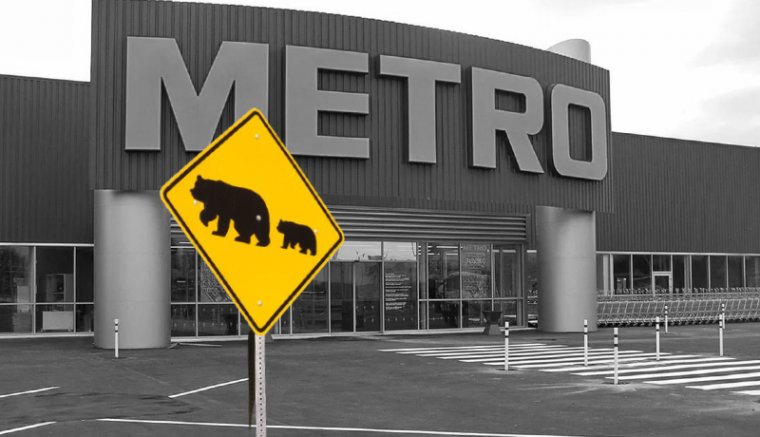 Figyelem! Medvéket észleltek Kolozsvár határában, nem is akárhol