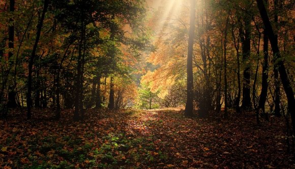 Az őszi kirándulásoknak kedvező időjárásunk lesz a következő két hétben