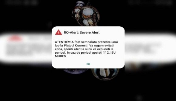 Farkast kiáltott a marosvásárhelyi katasztrófavédelem, kutya lett belőle