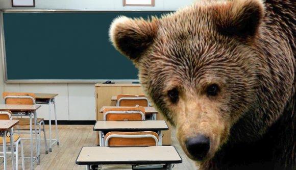 Új otthont kapott egy medvebocs, s ha már így alakult, megnézte, hol van a legközelebbi iskola (VIDEÓval)